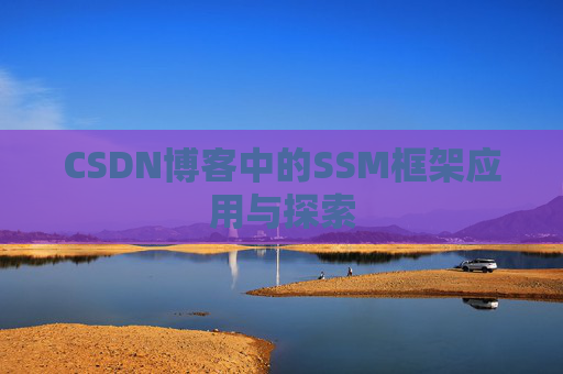 CSDN博客中的SSM框架应用与探索